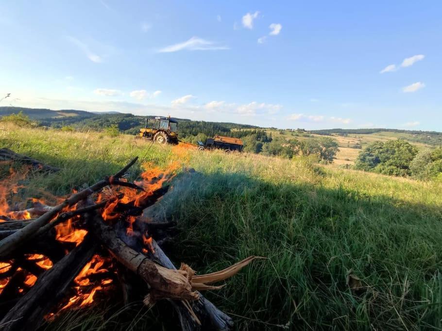 Luxury tent Lepiej Trafic Nie Mogliscie